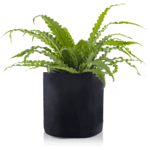 MACETA GEOTEXTIL 5L